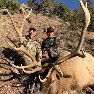 New Mexico muzzle loader bull elk.
