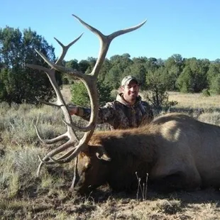 Trophy Bull