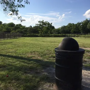 Plenty of space for the dogs to run