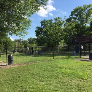 Looking into the small dog park