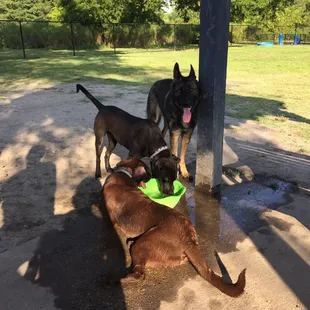 Shaded area with seating