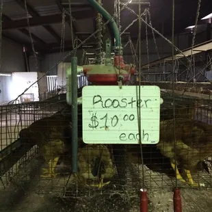 Not a bad deal at all