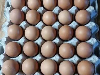 Pleasant Valley Farms