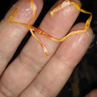 Not even sure what this is..