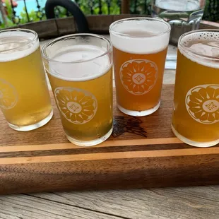 A selection of taster beers