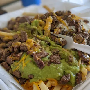 Carne asada fries
