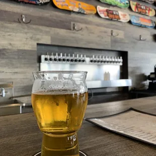 a pint of beer on a coaster