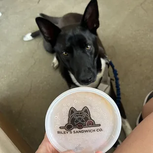 The cutest logo on the peanut butter and pumpkin treat!