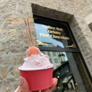 a hand holding a cup of ice cream