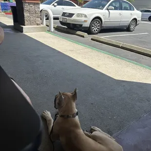 Outdoor seating with our puppy