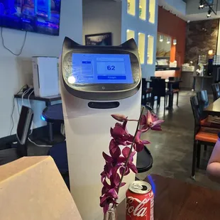 The robot Helper