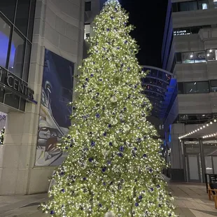 Beautifully lit Christmas tree