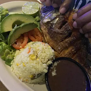 Fried fish , white rice ,side salad