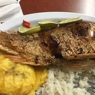 Fried Snapper