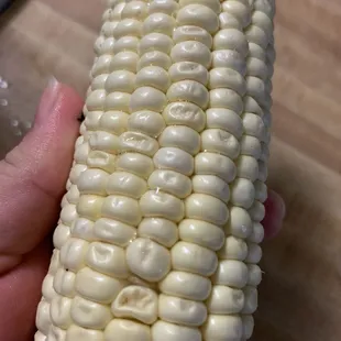 a person holding a corn cob