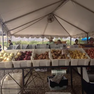 Nice variety and abundance of produce!