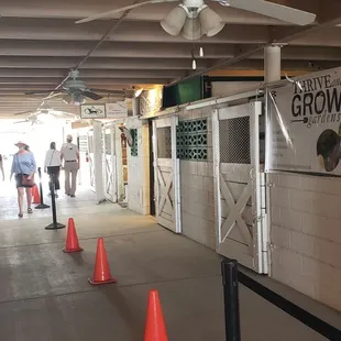 a row of orange cones