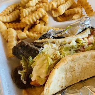 Gyro platter with fries  Lots of tasty gyro meat and tzaziki. It hits the spot!