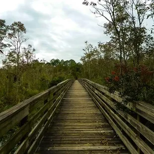 Boardwalk to Kayak Launch over marsh.
