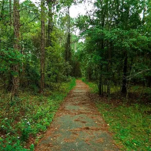Walking trail in the back of the park.