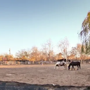 Outdoor Arena 200' x 150'