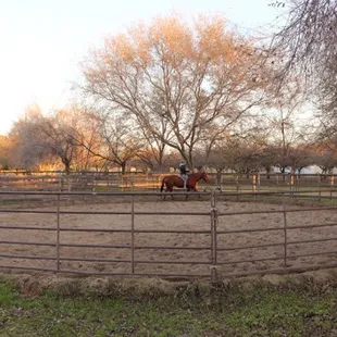 1 of 2 Rouns Pens located at Ringwood Stables