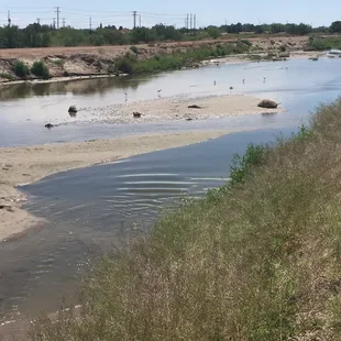 They just opened these canal that feeds all of the other canals