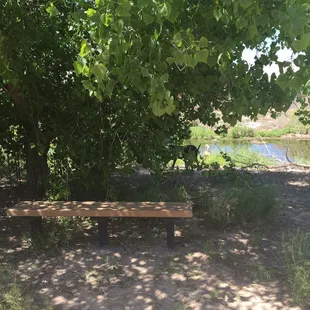 There were quite a few benches on the trails that were all shaded.