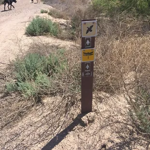 Little signs like this were along all the trails that let you know which way to see what (and they did not disappoint)