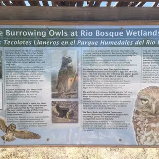 So cool. To the right of this sign you can actually see the owls.