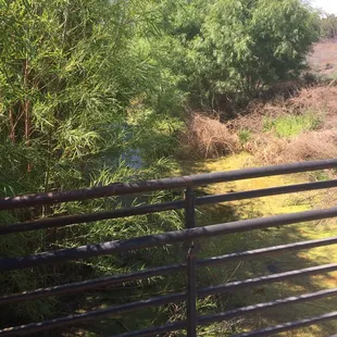 The bridges were nice little breaks on each route