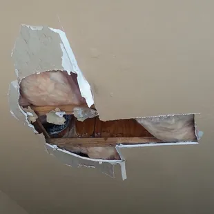 Yes, they have covered parking but don't look up!