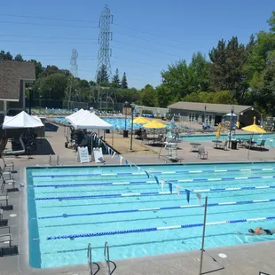 Rio Lap Pool
