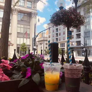 Avocado Berry Smoothie Mango, Peach and Orange Juice