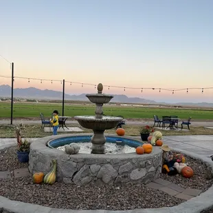 a fountain with pumpkins and gourds