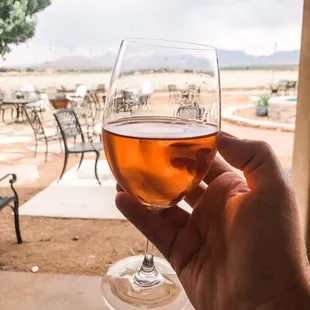 a hand holding a glass of wine