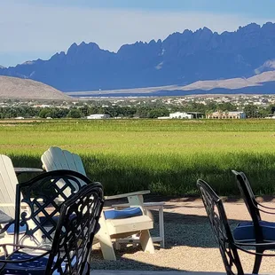 the view from the patio