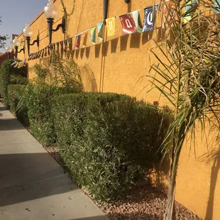 Mexican paper flags near the entrance.