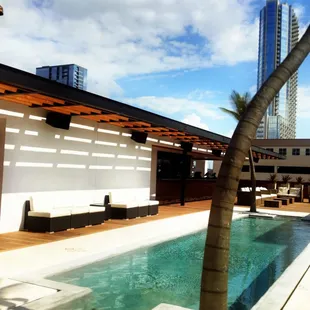 Rooftop Pool
