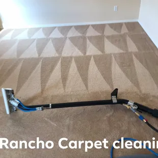Carpet Cleaning
