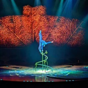 Dragonfly hand balancing