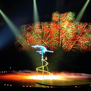 This guy was so strong and flexible - pretty stunning.