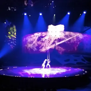 This was my favorite part. They were almost constantly in motion so it was hard to get a good picture.