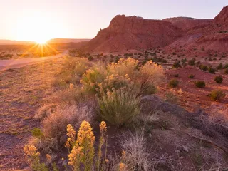 Lynx Healthcare - Albuquerque