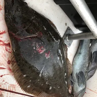 Hey idiot. Come get some. I'll teach you how to catch something besides a striper. Lmao.