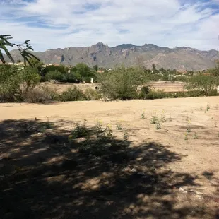 Located right off the south side path between Campbell and country club