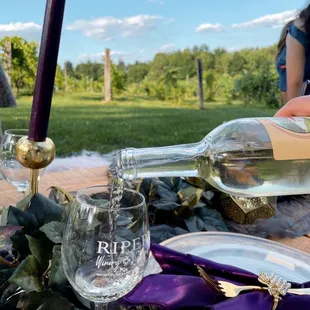 Winery glam picnic experience
