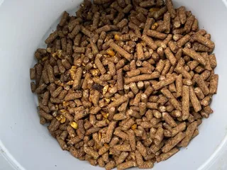 Tennessee Safari Park