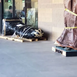 Getting ready for the dinosaurs!