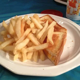 Good old grilled cheese and fries!